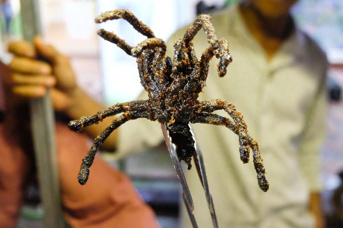 Kambodža: Gastro výzva pro odvážné 02