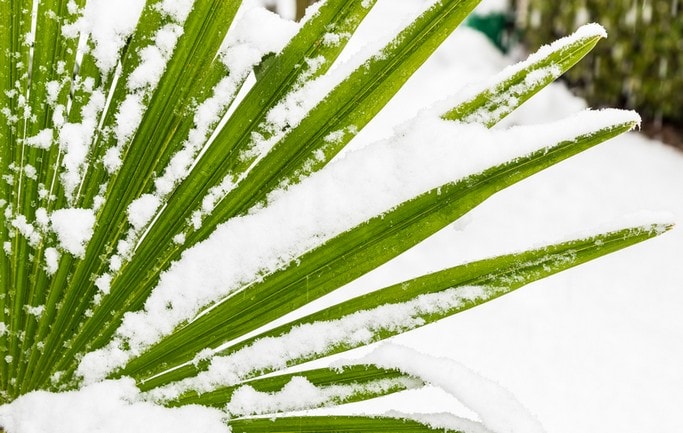 snih-netradicni-mista-04