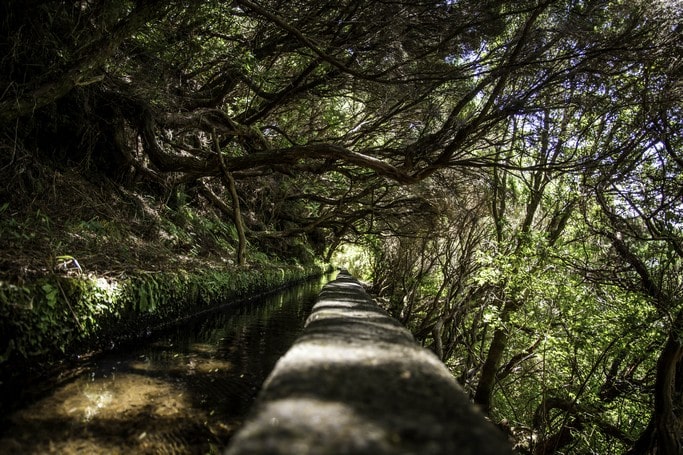Madeira - Leváda prales a vodopády