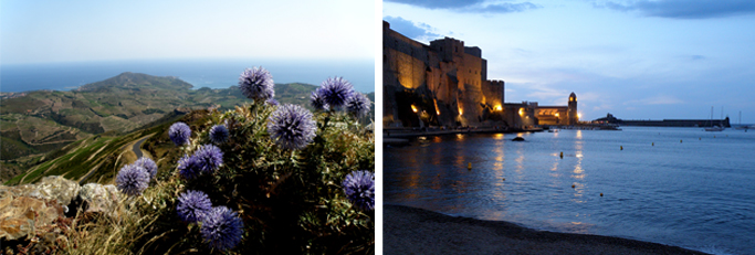 pobřezí Port Vendres