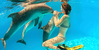 plavani_s_delfiny_uvod