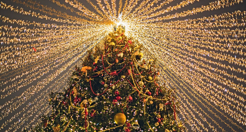 christmas tree vánoční strom